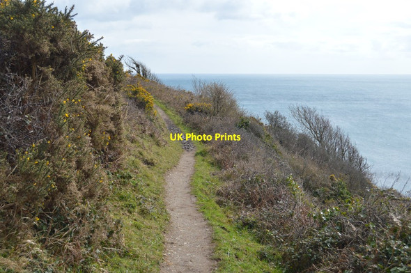 Photo 6"x4" South West Coast Path, Lansallos Cliffs Lansallos c2018 P1