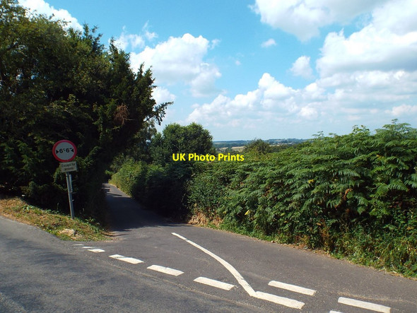 Photo 6"x4" Narrow lane in Ashdown Forest Birchgrove\/TQ4029 c2018