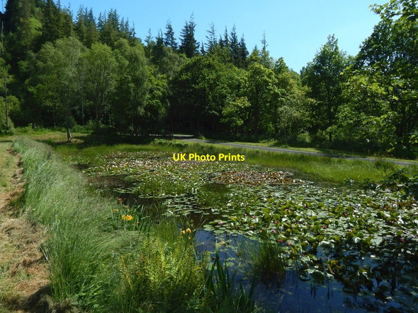 Photo 6"x4" Former curling pond Balloch\/NS3982 c2018