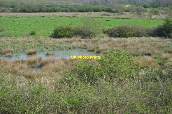 Photo 6"x4" Pond by old seawall Shepherd's Port c2018
