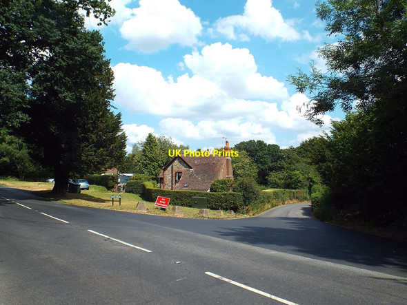 Photo 6"x4" New Road, Ashdown Forest Duddleswell c2018