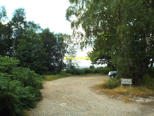 Photo 6"x4" Wrens Warren car park, Ashdown Forest Chuck Hatch c2018