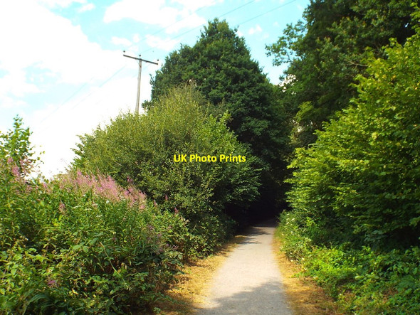 Photo 6"x4" Forest Way near Forest Row Quabrook c2018