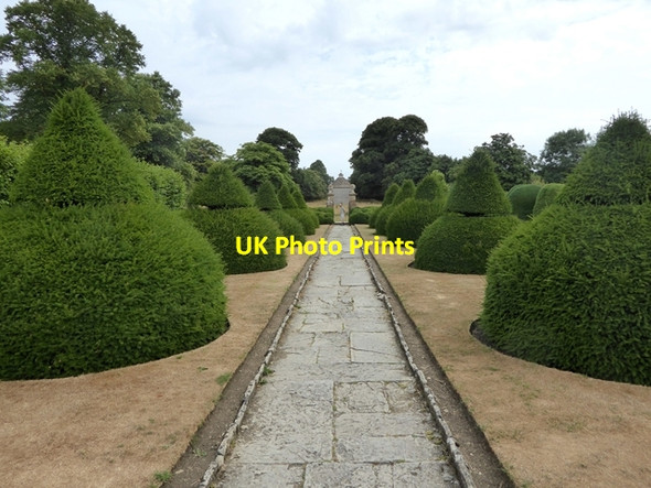 Photo 6"x4" Avenue of topiary at Lytes Cary Manor Cary Fitzpaine c2018