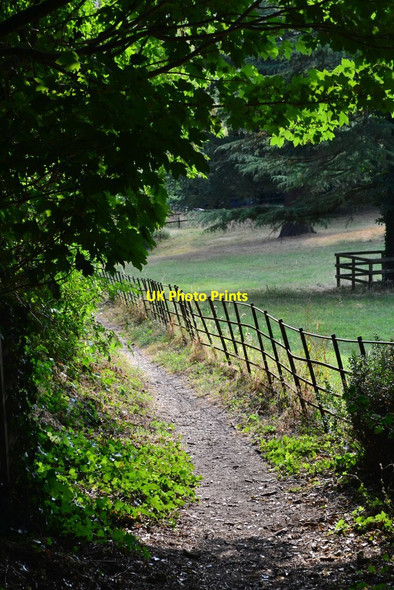 Photo 6"x4" Steep path down to the village from Whitsbury church Whitsbury c2018