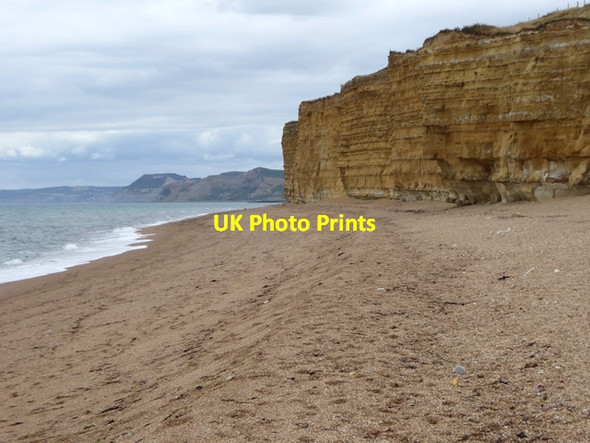 Photo 6"x4" Burton Cliff Burton Bradstock c2018