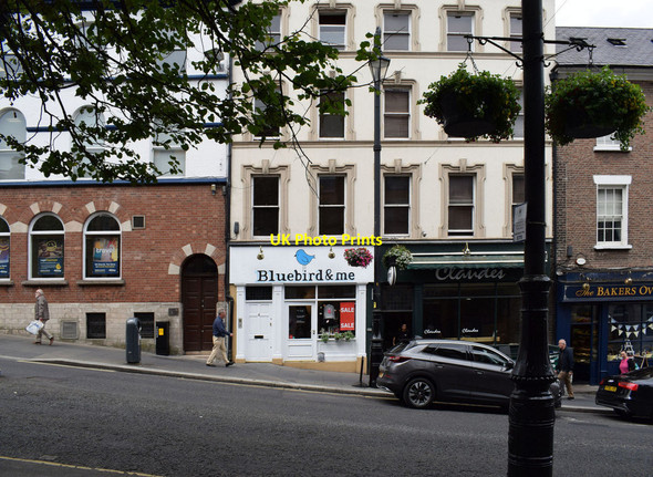 Photo 6"x4" Bluebird & me \/ Claudes, Derry \/ Londonderry Londonderry\/C4316 c2018