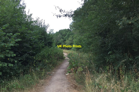 Photo 6"x4" Bridleway beside Kiln Copse Kirdford c2018