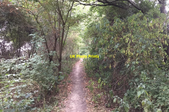 Photo 6"x4" Bridleway passing Holland\u00e2\u0080\u0099s Heath Farm Great Common\/TQ0127 c2018