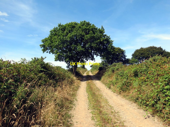 Photo 6"x4" Llwybr ceffyl ger Nantegryd \/ A bridleway near Nantegryd Capel Dewi\/SN4542 c2018