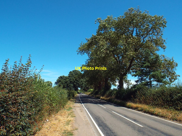 Photo 6"x4" Brampton Lane near Pitsford Chapel Brampton c2018