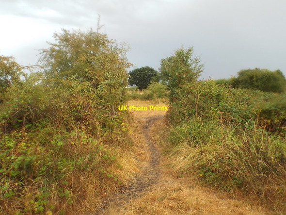 Photo 6"x4" Path near Brixworth Brixworth c2018