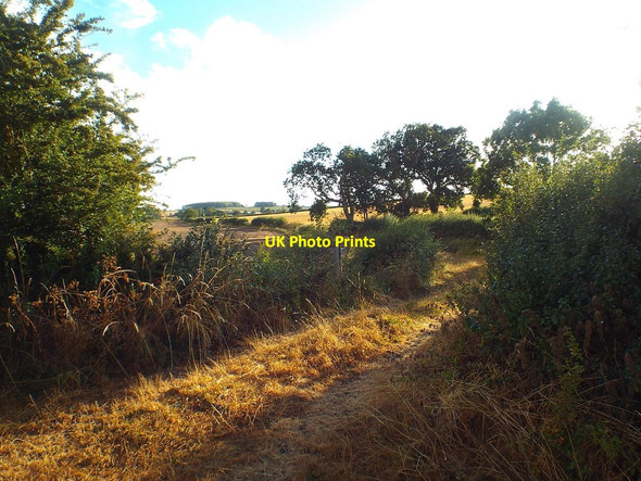 Photo 6"x4" Track through fields near Brixworth Pitsford c2018