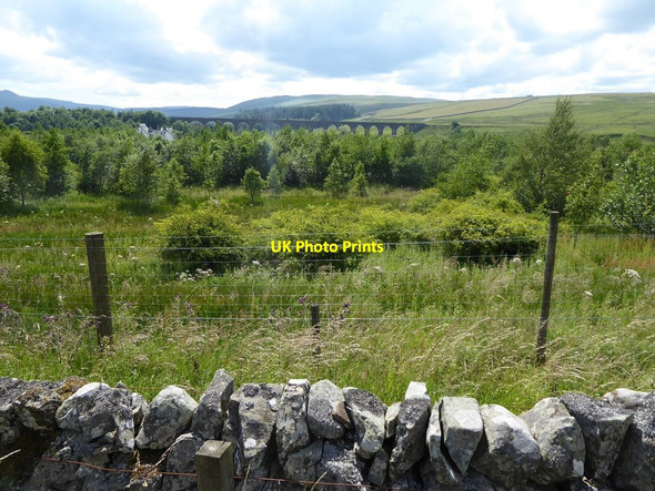 Photo 6"x4" Looking from the B6399 towards the Shankend Viaduct Stobs Castle c2018