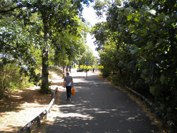Photo 6"x4" Footpath to University station from Queen Elizabeth Hospital Bournbrook c2018