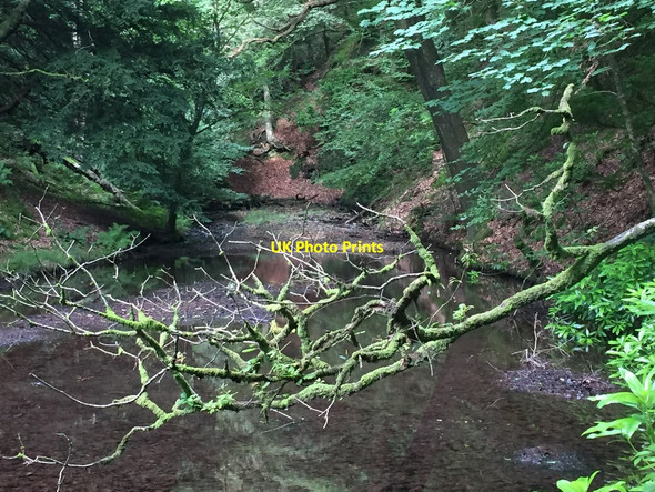 Photo 6"x4" Small Pond, Monk Coniston Hawkshead Hill c2017
