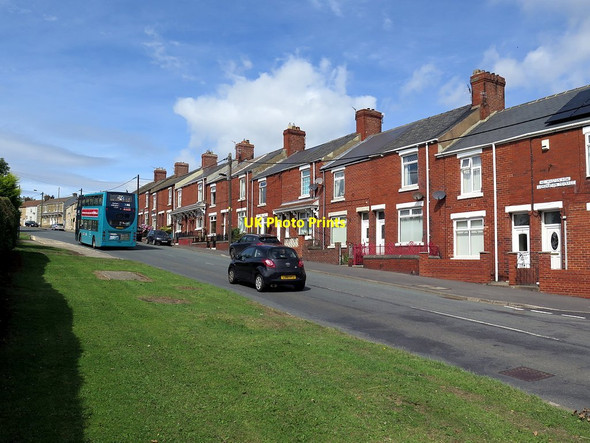 Photo 6"x4" Coronation Terrace, Helmington Row Willington\/NZ1935 c2018