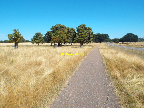 Photo 6"x4" Path in Richmond Park Richmond\/TQ1874 c2018