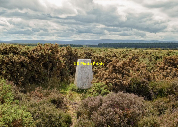 Photo 6"x4" Carse of Delnies Trig Point Moss-side\/NH8555 c2018