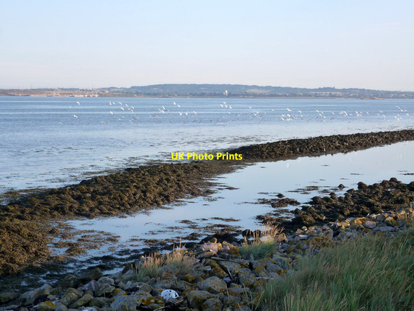 Photo 6"x4" Foreshore off Cliffe Marshes Cliffe\/TQ7376 c2015