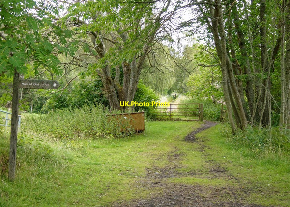 Photo 6"x4" Path to Blairdhu and Spital Wood Muir of Ord c2018