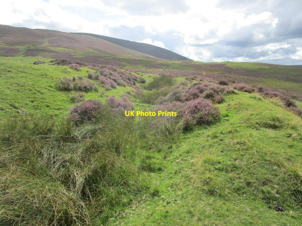 Photo 6"x4" Northern ramparts of Fallburn Fort Thankerton c2018