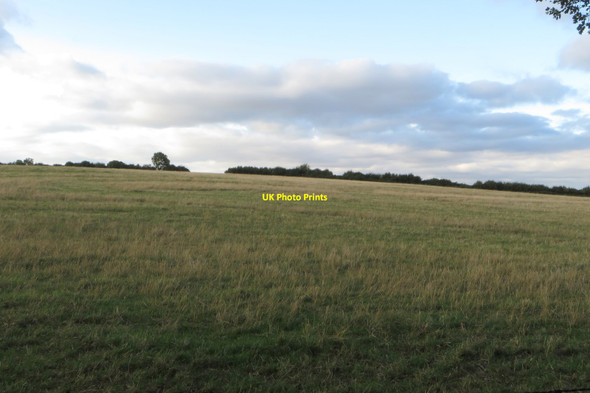 Photo 6"x4" Pasture by the bridleway Hinton-in-the-Hedges c2018