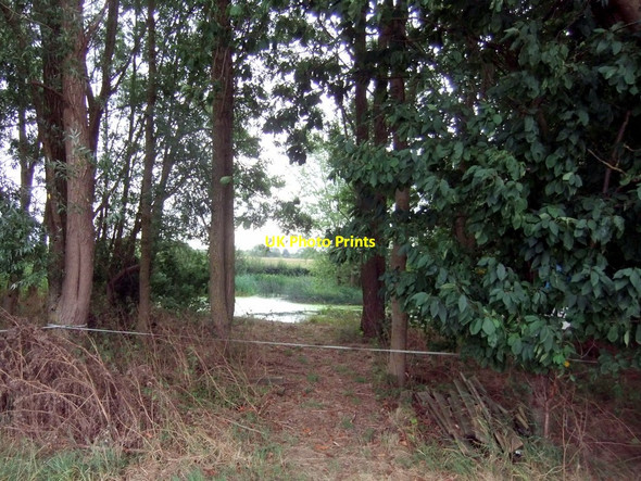 Photo 6"x4" Pond in the trees Aike c2018