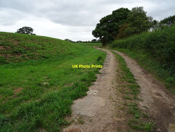 Photo 6"x4" Track and bridleway passing Day House Earl's Croome c2018