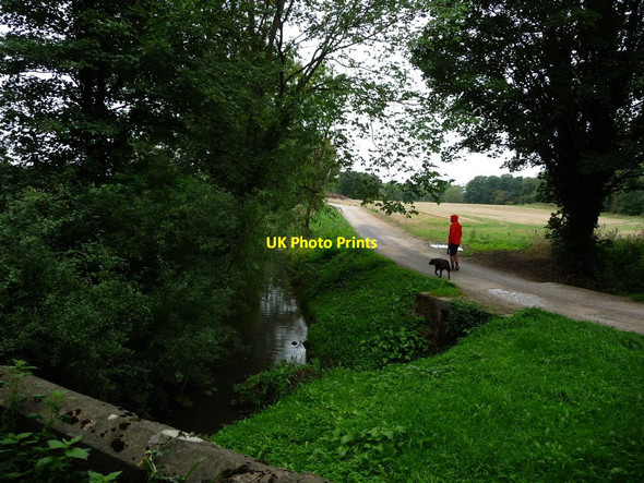 Photo 6"x4" Walking the dog along the bridleway at Bat Bridge Cundall c2018
