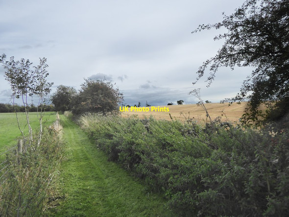 Photo 6"x4" Footpath east of Lodge Farm Gatton c2018