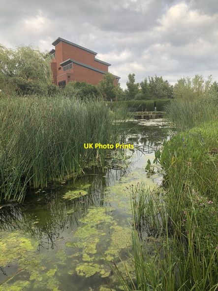 Photo 6"x4" Ponds Within Office Units at Caldecotte Bow Brickhill c2018