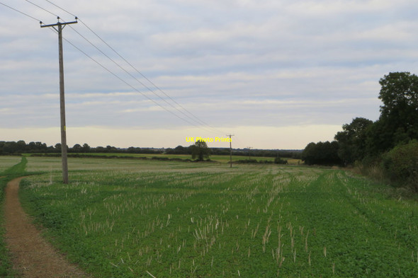 Photo 6"x4" Powerlines over the bridleway Farthinghoe c2018