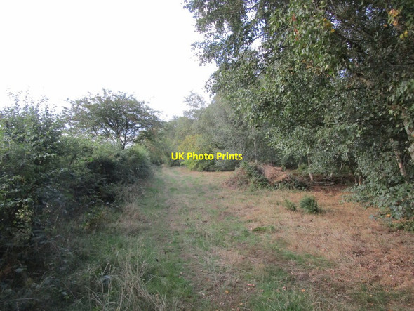 Photo 6"x4" Path along the edge of North Cliffe Wood North Cliffe c2018