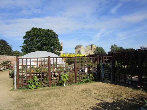Photo 6"x4" Nursery at The Walled Garden Helmsley c2018