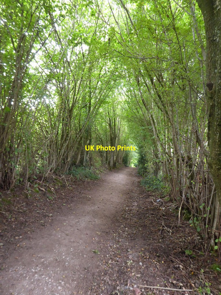 Photo 6"x4" Downhill from Fickleshole Fickleshole c2018