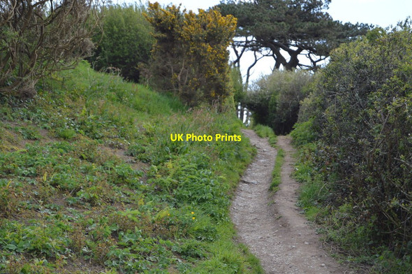 Photo 6"x4" Track from Porth Saxon Mawnan c2018