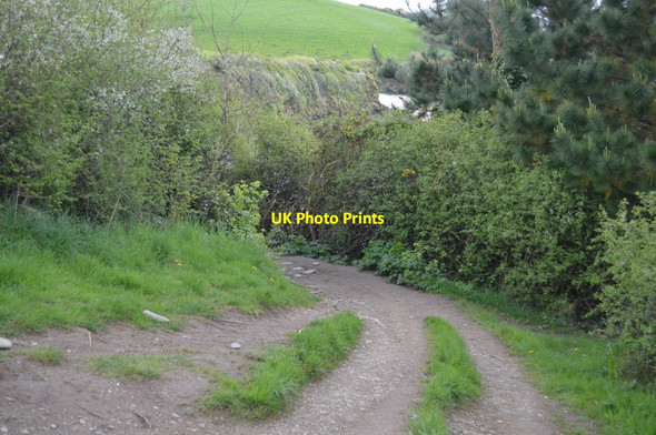 Photo 6"x4" Track to Porth Saxon Mawnan c2018