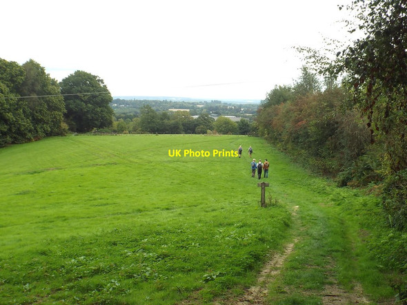 Photo 6"x4" Path through a field near Chiddingstone Hoath Chiddingstone Hoath c2018