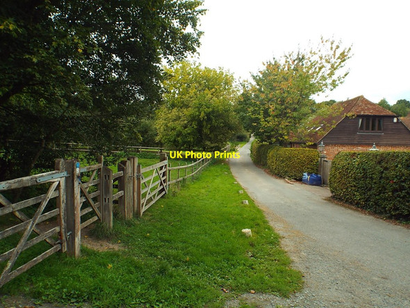 Photo 6"x4" Minor road near Penshurst Salmans c2018