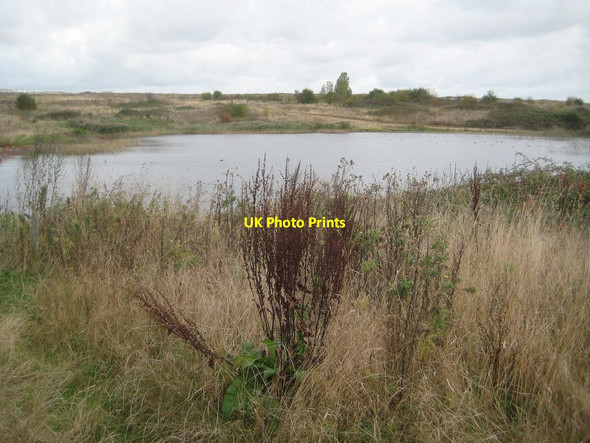 Photo 6"x4" East Tilbury: Pond in the Mucking Marshes landfill site East Tilbury c2016