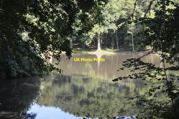 Photo 6"x4" Kiln Pond Ardingly c2018