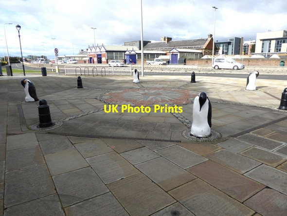 Photo 6"x4" Penguins at Discovery Point Newport-on-Tay c2018