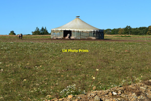 Photo 6"x4" Pig pavilion near Roke Manor Romsey c2018
