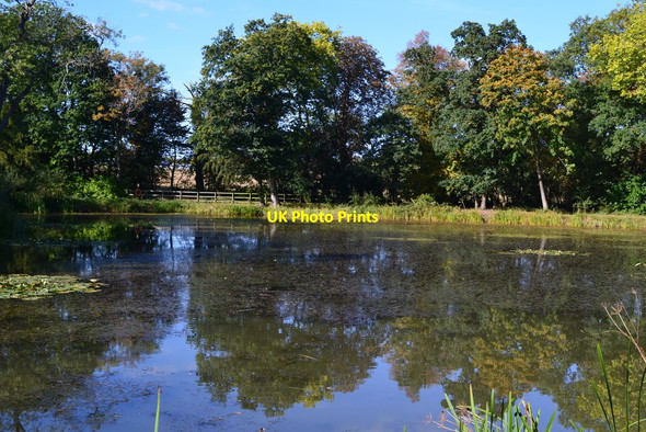 Photo 6"x4" Trees reflected in Melchet Pond Plaitford Green c2018
