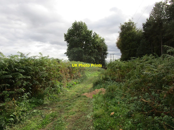 Photo 6"x4" Bridleway to Boughton Boughton\/SK6768 c2018