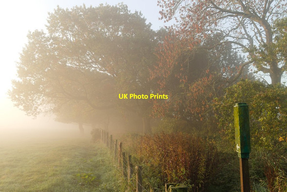 Photo 6"x4" Bridleway off Greenmires Lane Braythorn c2018