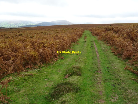 Photo 6"x4" Bridleway across Mynydd Llangorse Cathedine c2018