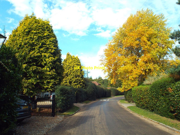 Photo 6"x4" Autumn colour in Sevenoaks Sevenoaks c2018