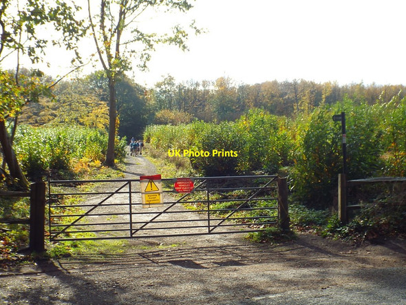 Photo 6"x4" Path into Pitfield Wood, near Sevenoaks Bayley's Hill c2018